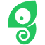 Chameleon logo